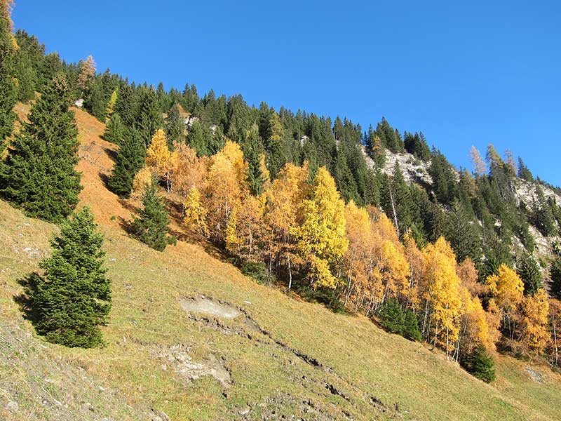 Schwarzwand
